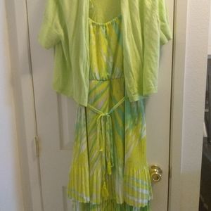 Lane Bryant Dress
